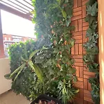 Barista Homes 公寓 圣米格尔德阿沃纳