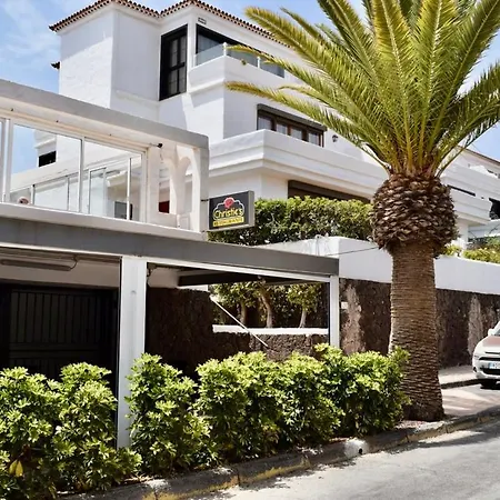 Barista Homes * סן מיגל דה אבונה