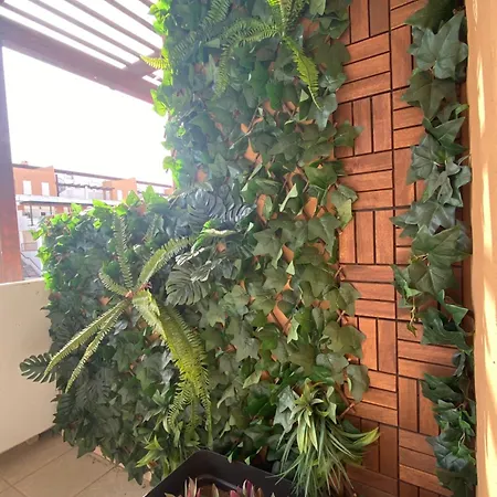 Barista Homes 公寓 圣米格尔德阿沃纳
