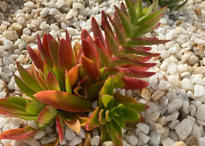 شقة Barista Homes