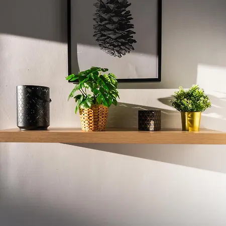 Barista Homes
